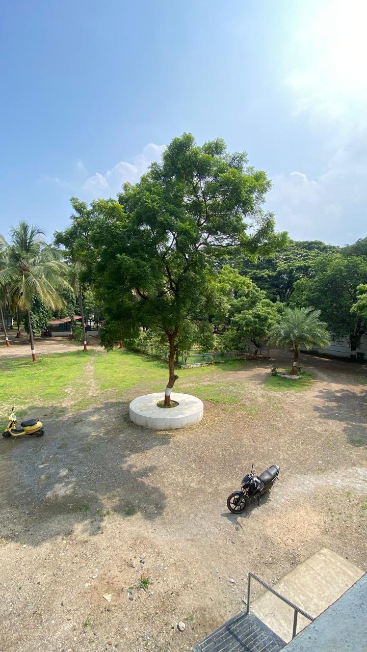 School campus